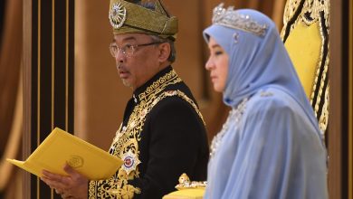Photo of Penjana Comprehensive Plan To Help Malaysians, Revive Economy – AGONG