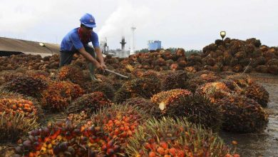 Photo of MPOB Teams Up With Techbond To Produce Palm-Based Polyol