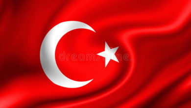 Photo of Turkey, MENA Bersedia Import Lebih Banyak Minyak Sawit