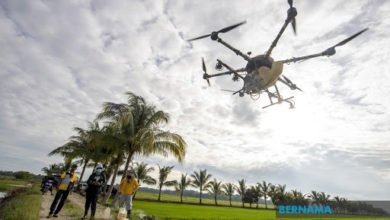 Photo of Teknologi Dron Kian Popular Dalam Kalangan Pesawah Kelantan