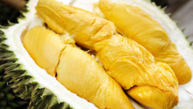 Photo of Hernan Corps’ Durian Products Enter Japanese Market