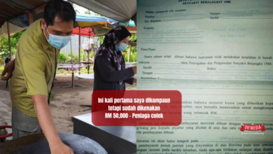 Photo of Peniaga Colek Pula Dikompaun RM50,000