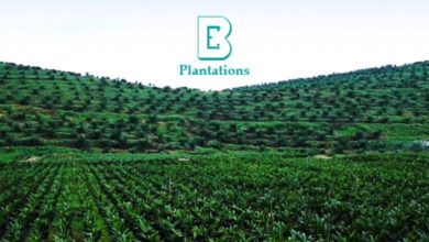 Photo of Boustead Plantations Appoints Former TDM Chief As New CEO