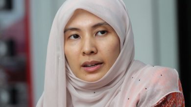 Photo of Advisory Committee For The Finance Ministry Aims To Create Conducive Economic Environment, Attract More FDIs – Says Nurul Izzah