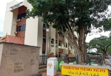 Photo of Malaysia’s Oldest Rubber Tree Now Worth Nearly RM200,000