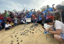 Photo of Aktiviti Pelancongan Berasaskan Pengalaman “Terengganu Turtle Experience Tourism”  Akan Dirancakkan Secara Berganda – Razali Idris