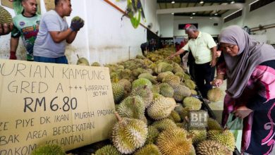 Photo of Letak Harga Durian Lebih Murah, 20 Tan Sehari Berjaya Dijual